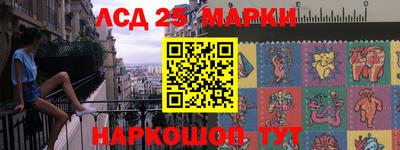 Альфа ПВП Ставрополь