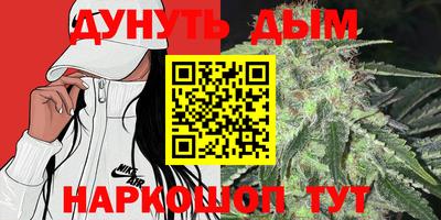 Альфа ПВП Ставрополь