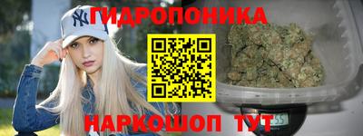 Альфа ПВП Ставрополь