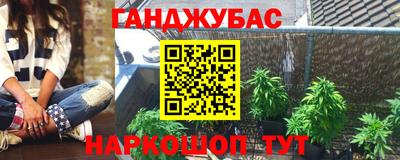 Альфа ПВП Ставрополь