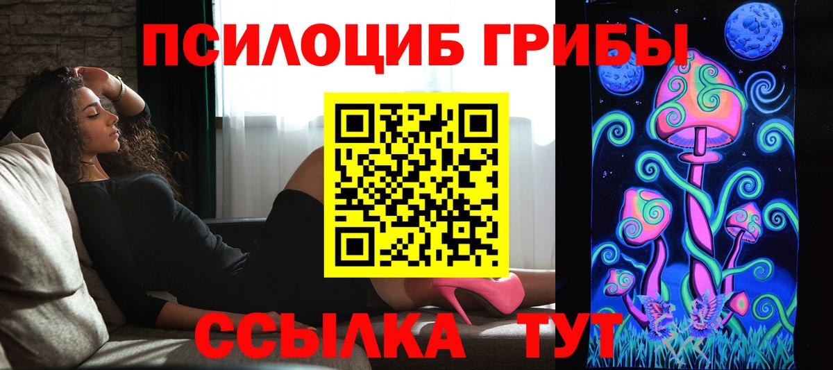 Псилоцибиновые грибы GOLDEN TEACHER Павлово